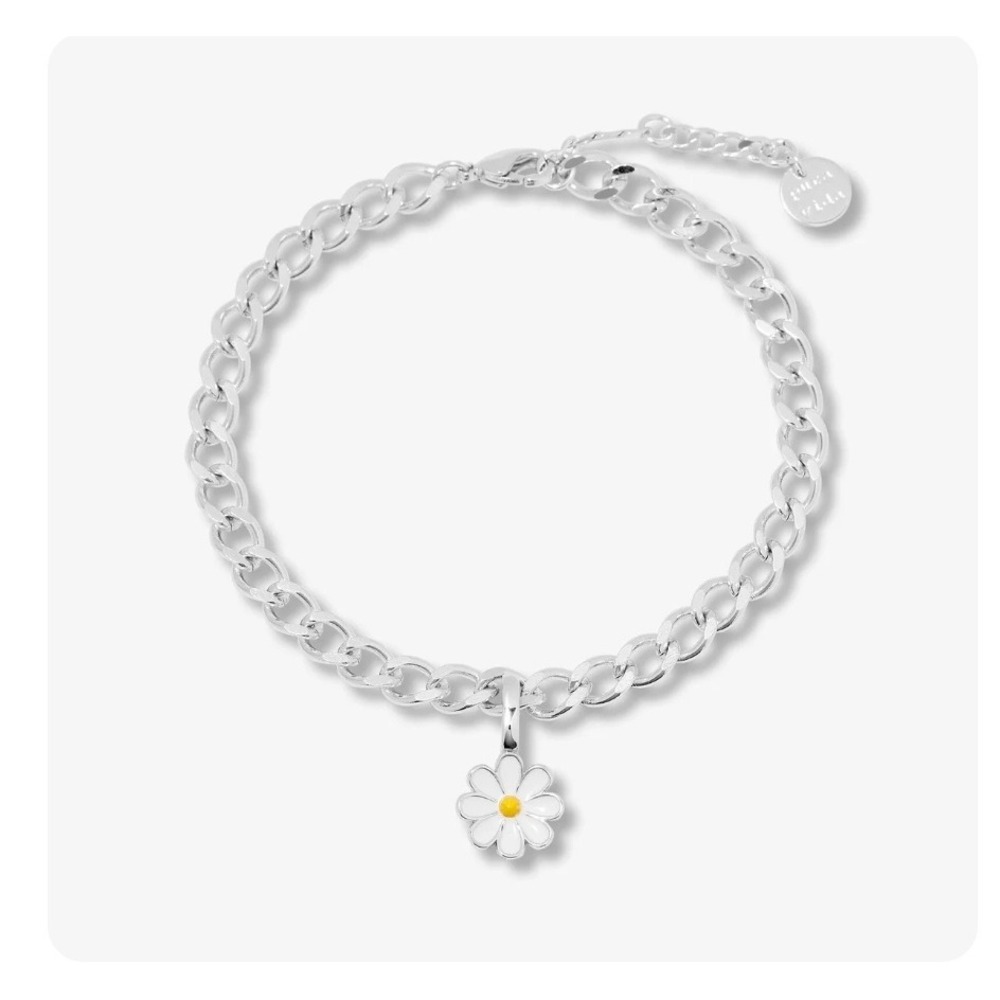 Pura Vida Harper Curb Chain Bracelet silver new